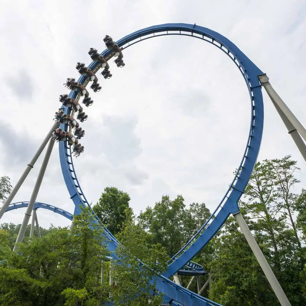 Picture of Wild Eagle going upside-down