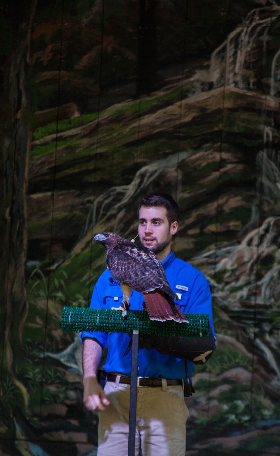 Picture of Speaker holding a hawk